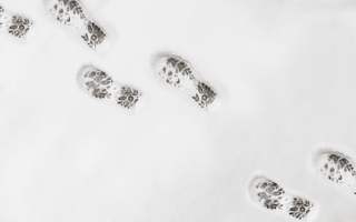 Footsteps appear in snow with one large step likely from unsticking balls from thighs