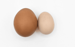 Eggs symbolizing hydrocele swelling