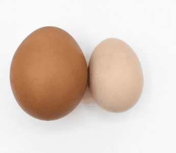 Eggs symbolizing hydrocele swelling